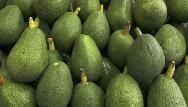 Palta Fuerte