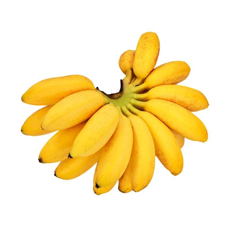 Platano Bizcocho