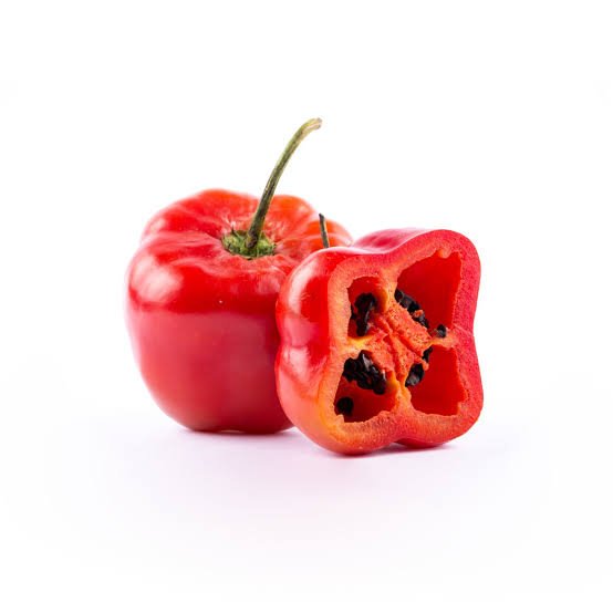 Rocoto